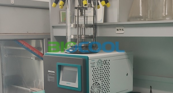 中國疾控中心病毒病所采購博醫康Lab-1D-50凍干機